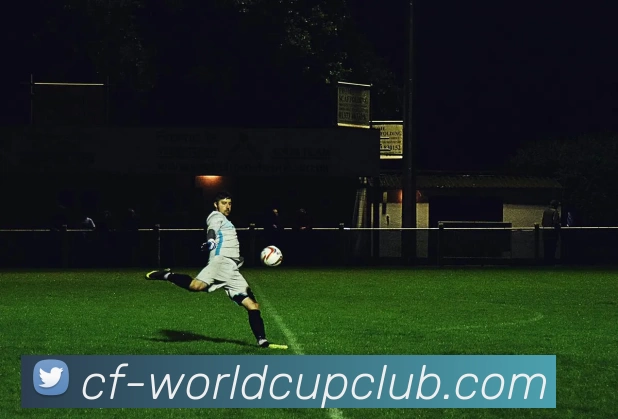 世界杯官方线上平台生态图